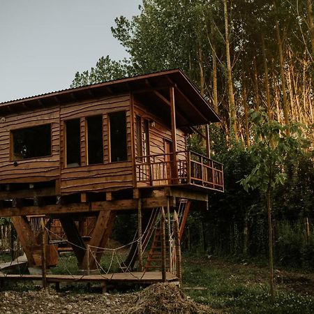 Bonita Cabana De Los Arboles En La Rioja , Durmiendo Entre Arboles Anguciana Экстерьер фото