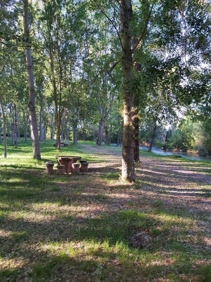 Bonita Cabana De Los Arboles En La Rioja , Durmiendo Entre Arboles Anguciana Экстерьер фото