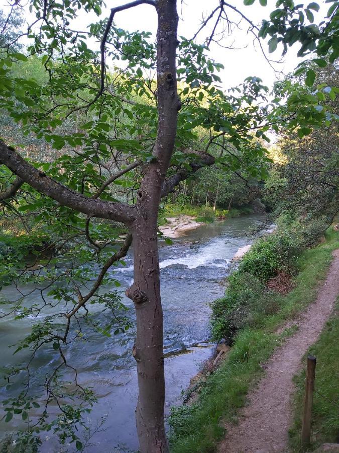 Bonita Cabana De Los Arboles En La Rioja , Durmiendo Entre Arboles Anguciana Экстерьер фото
